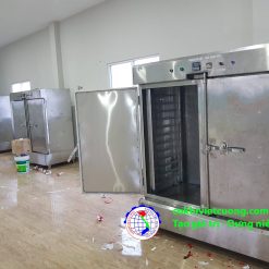 tủ sấy rau củ quả