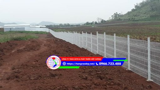 Hàng rào lưới thép cột trái đào - Ảnh 11