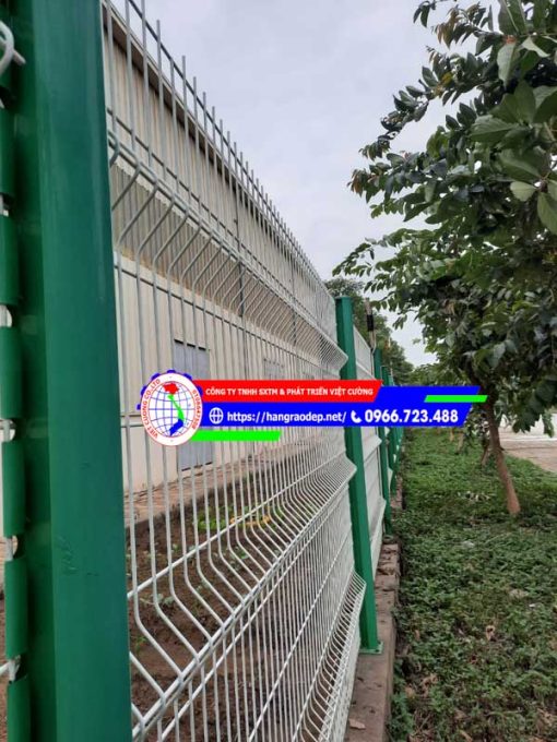 Hàng rào lưới thép cột trái đào - Ảnh 7