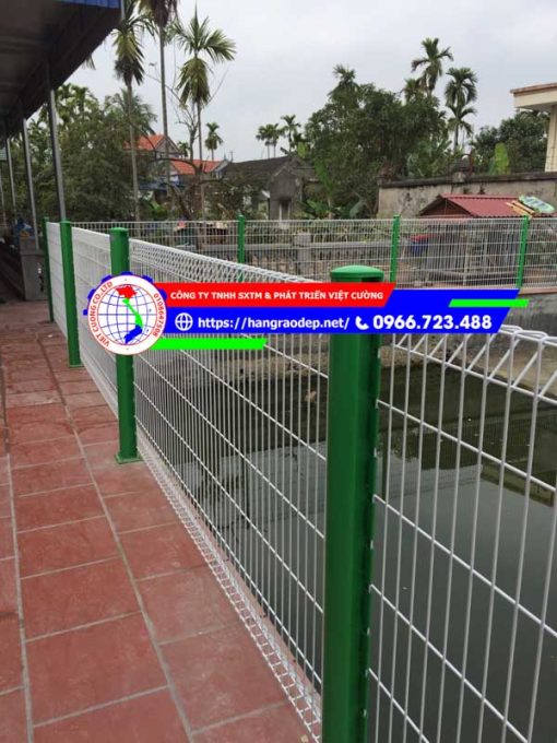 Hàng rào lưới thép cột trái đào - Ảnh 16