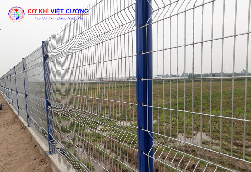 Hàng rào lưới thép cột trái đào sơn màu trắng, cột xanh dương sang trọng.