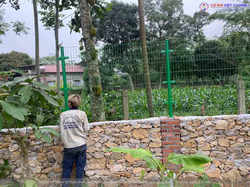 Sử dụng hàng rào lưới thép hàn cho khu vực vườn nhà